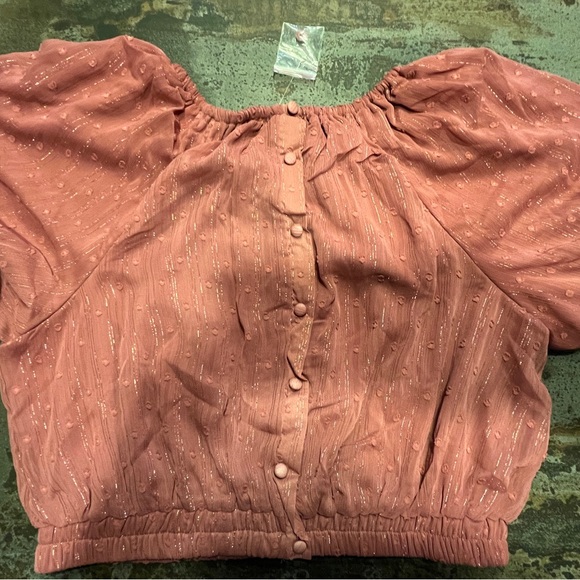 🤎❤️👚BY THE RIVER Anthropologie Rusty Rose Metallic Blouse Shirt Top NWT - Picture 4 of 12